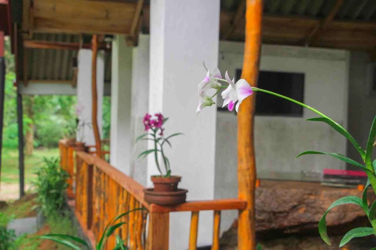 Victory Villa Sigiriya Exteriör bild